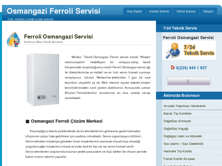 www.osmangaziferroliservisi.com