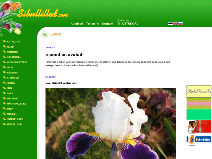 www.sibullilled.com