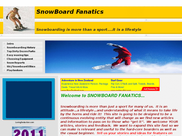 www.snowboardfanatics.com