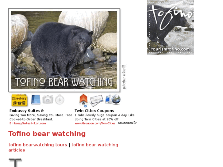 www.tofinobearwatching.com