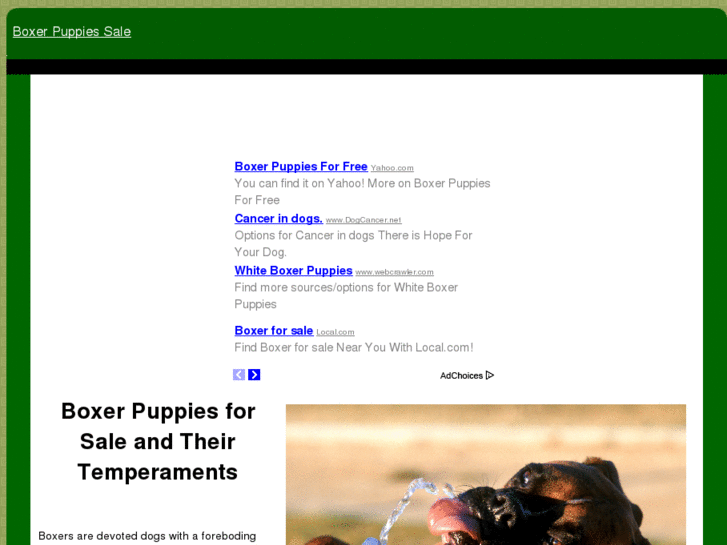 www.boxerpuppiessale.com
