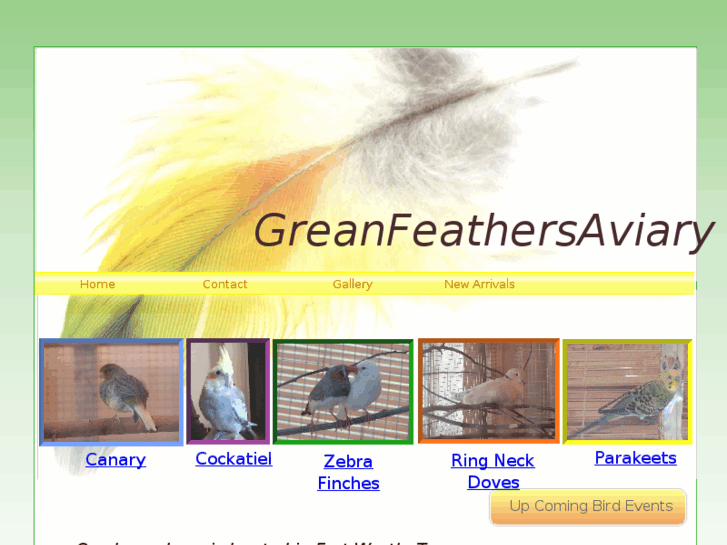 www.greanfeathersaviary.com