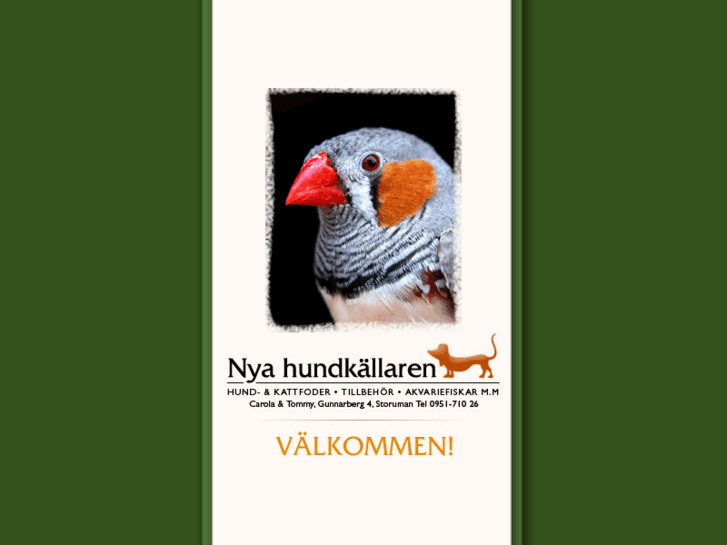 www.nyahundkallaren.com