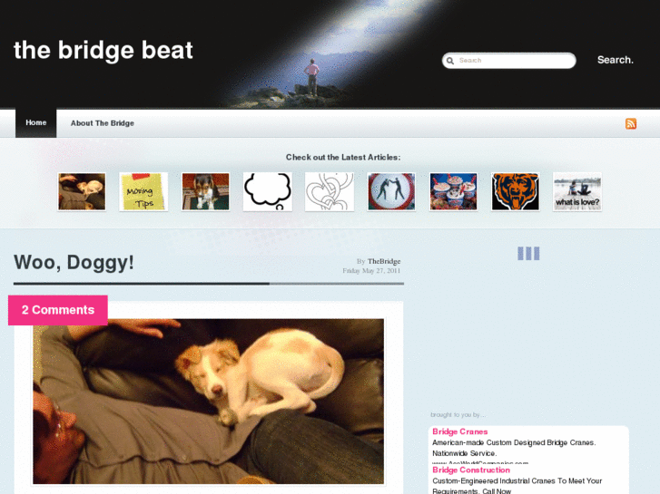 www.thebridgebeat.com