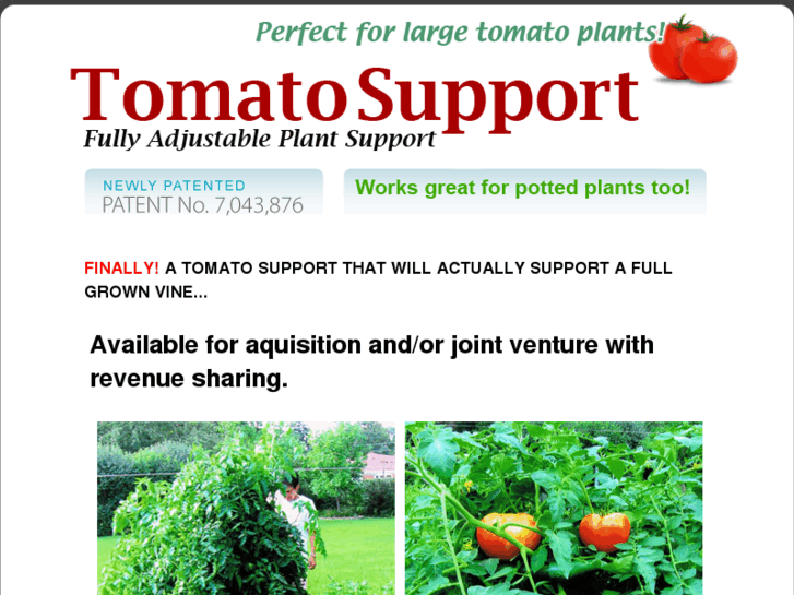 www.tomatosupport.com