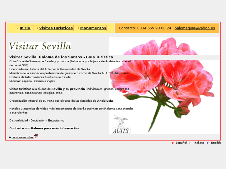 www.visitar-sevilla.com