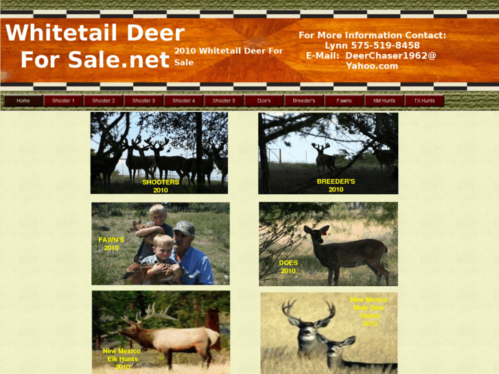 www.whitetaildeerforsale.net