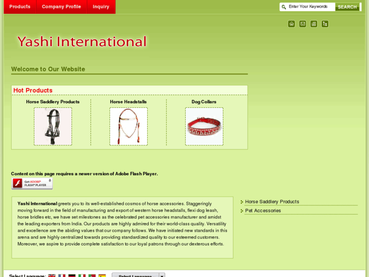 www.yashi-international.com