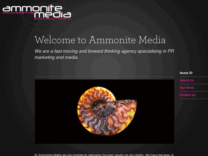 www.ammonitemedia.com