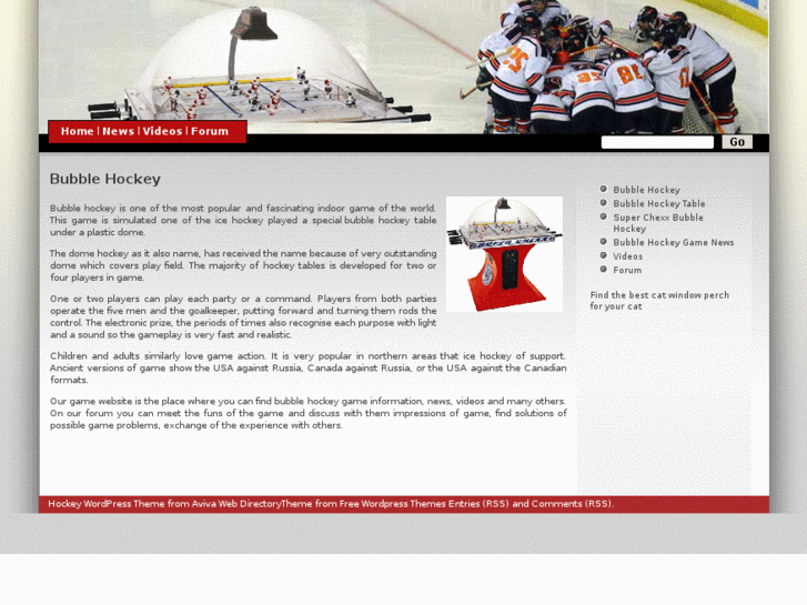 www.bubblehockeygame.com