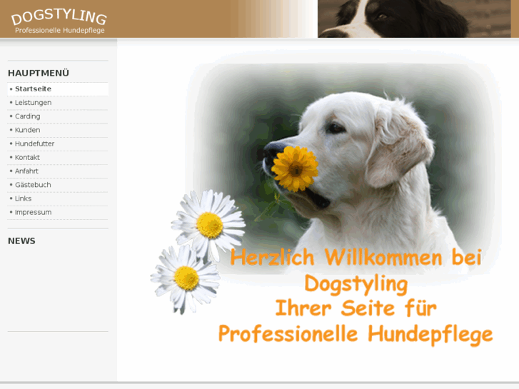 www.dogstyling.net