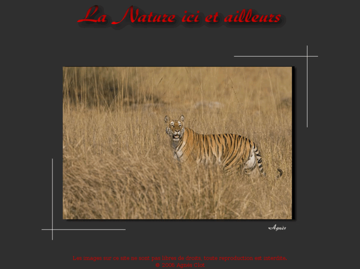 www.la-nature-ici-et-ailleur.com