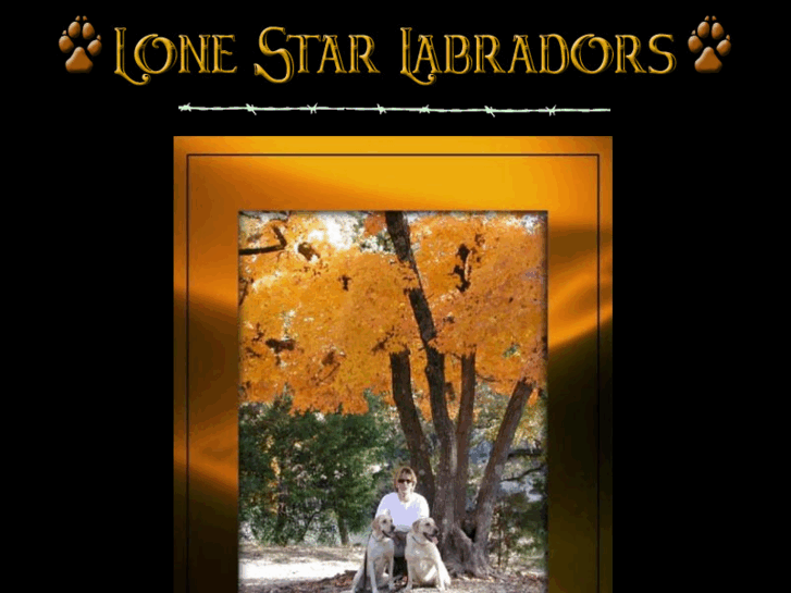 www.lonestarlabradors.com