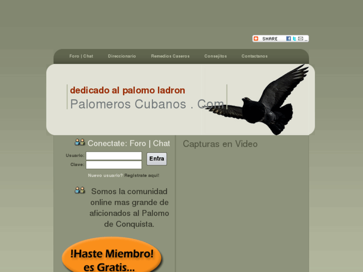 www.palomeroscubanos.com