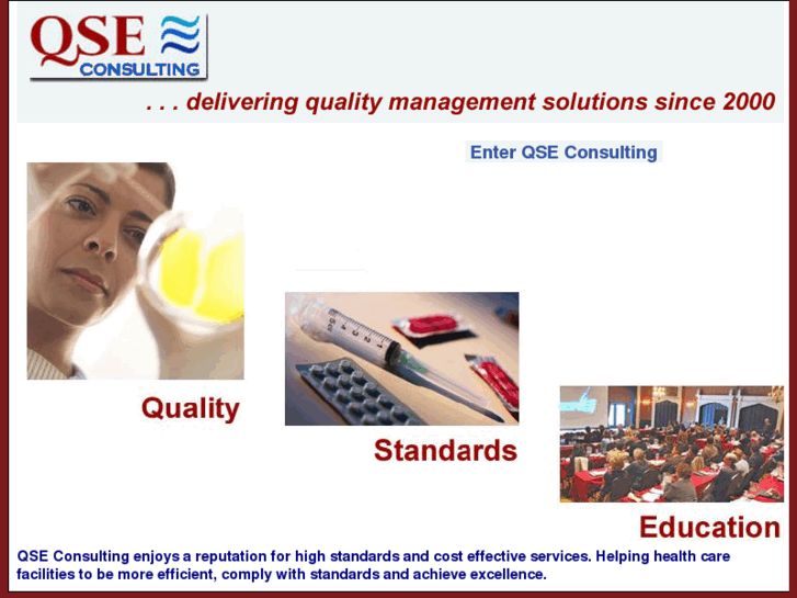 www.qseconsulting.com