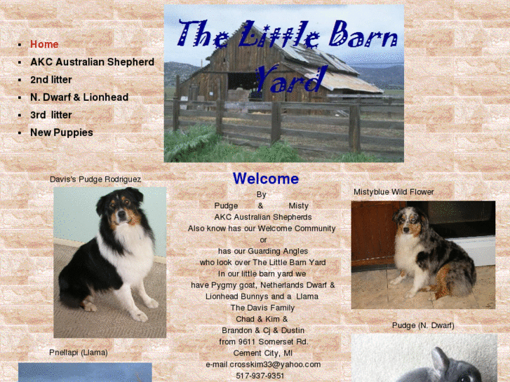 www.thelittlebarnyard.com