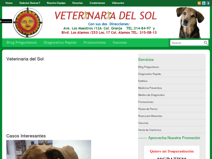 www.veterinariadelsolnogales.com