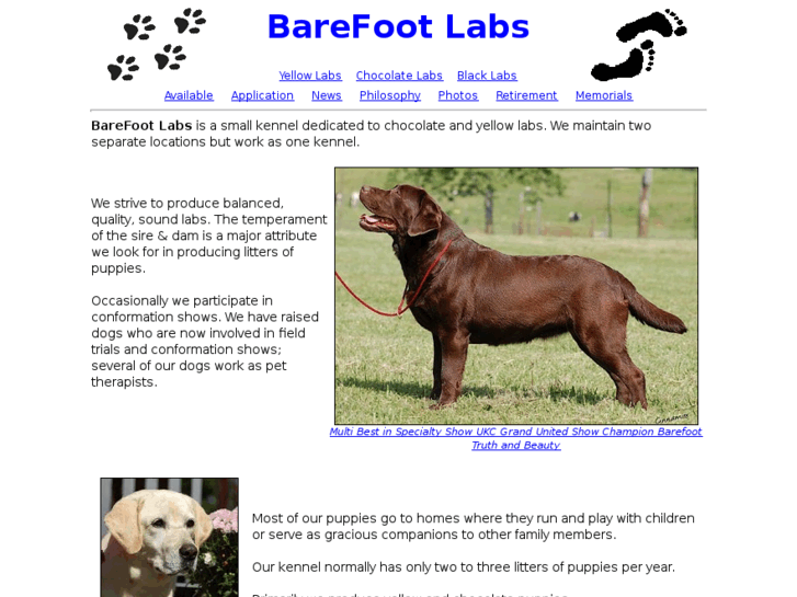 www.barefootlabs.com