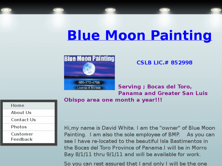 www.bluemoonpainting.com