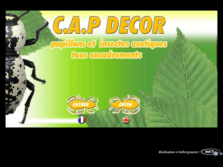 www.capdecor.com