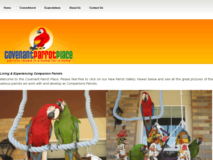 www.covenantparrotplace.com