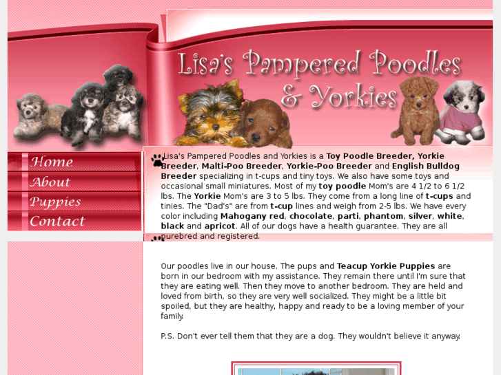 www.lisaspoodlesandyorkies.com