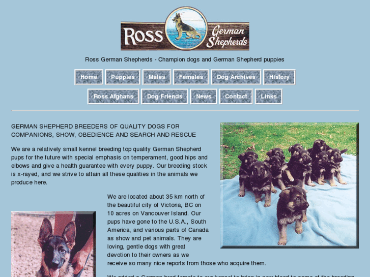 www.rossgermanshepherds.com