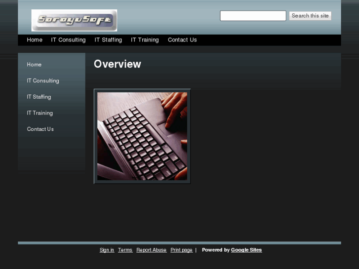 www.sarayusoft.com
