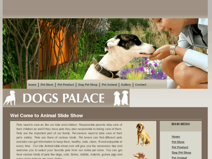 www.animal-slide-show.com