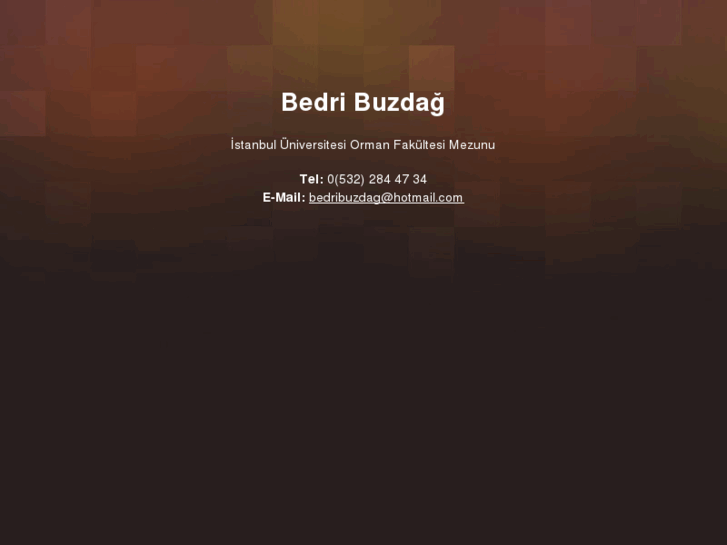 www.bedribuzdag.com