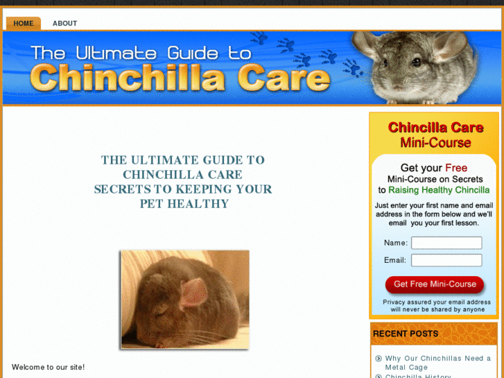 www.chincillacaresecrets.com