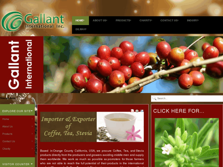 www.gallantintl.com