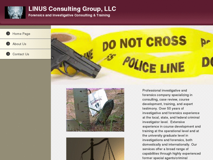 www.linusconsultinggroup.com