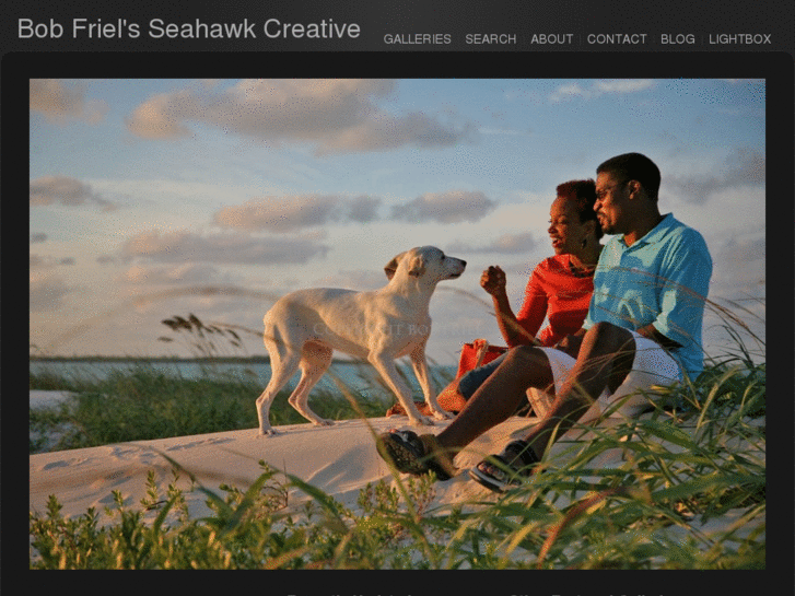 www.seahawkcreative.com