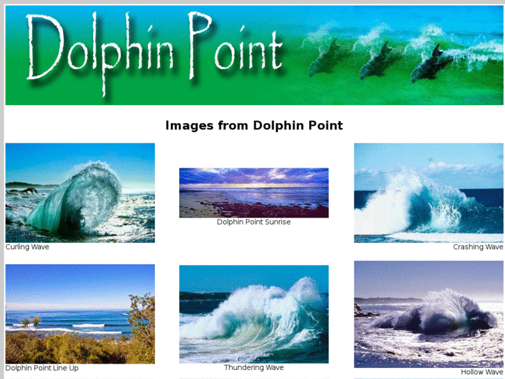 www.dolphinpoint.org