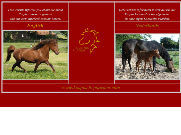 www.kaspischepaarden.com