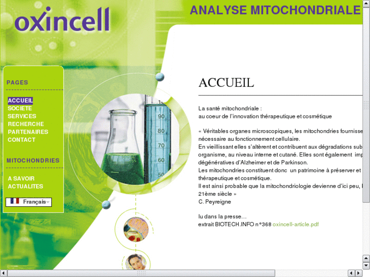 www.oxincell.com