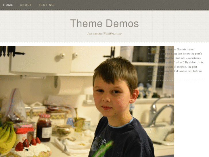 www.wpthemedemos.com