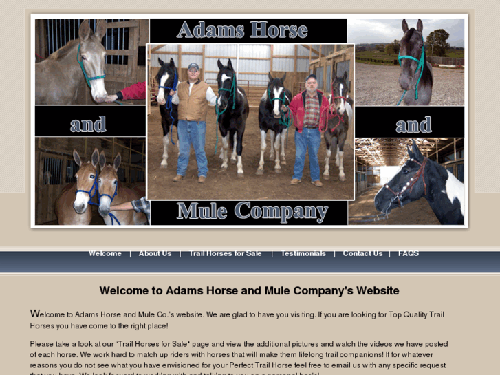 www.adamshorseandmuleco.com