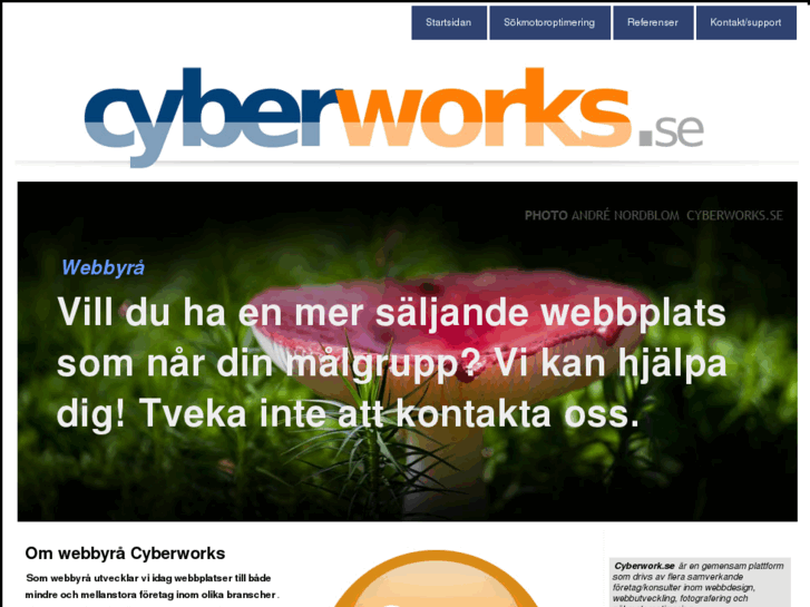 www.cyberworks.se