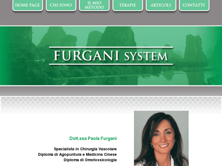 www.furganisystem.com