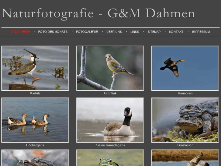 www.gm-dahmen.com