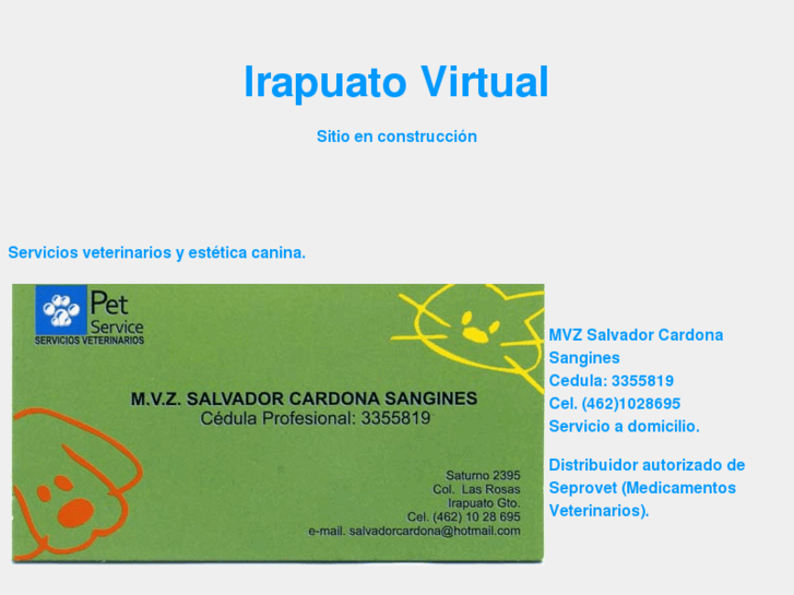 www.irapuatovirtual.com