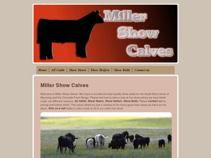 www.millershowcalves.com