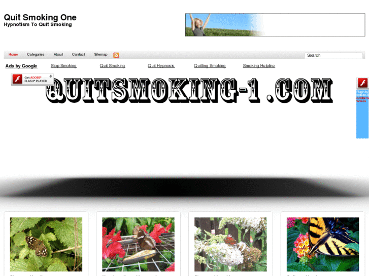 www.quitsmoking-1.com