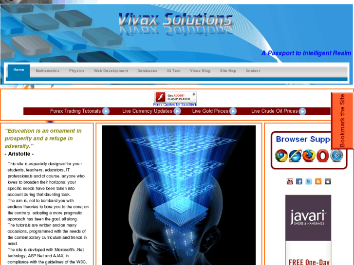 www.vivaxsolutions.com