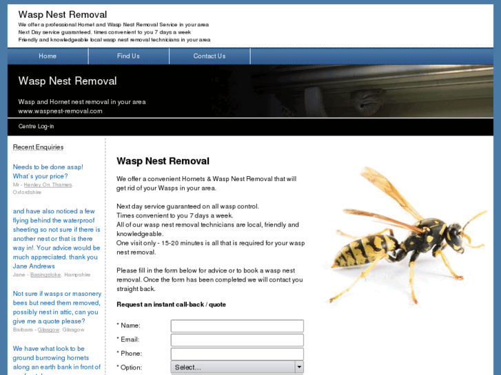 www.waspnest-removal.com