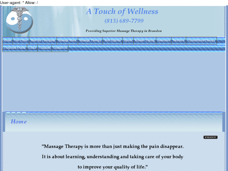 www.atouchofwellness.org
