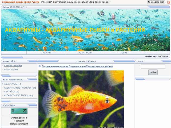 www.bueroaquarium.com