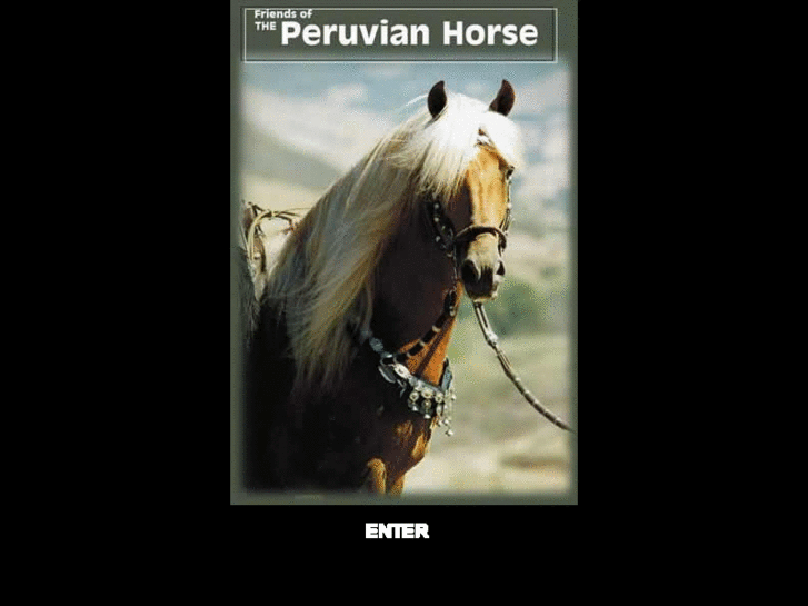 www.friendsoftheperuvianhorse.com